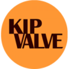 Компания KIPVALVE