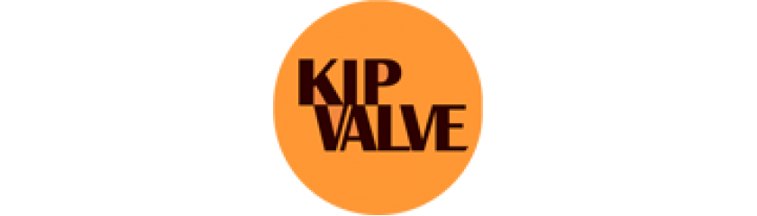 Компания KIPVALVE