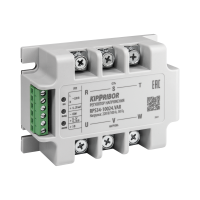 KIPPRIBOR RPS33, RPS34